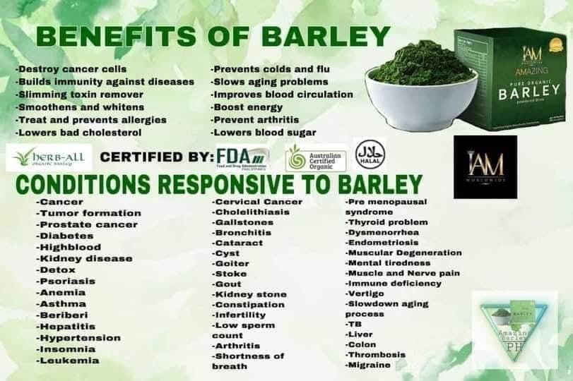 IAM BARLEY- Amazing Pure Organic Barley - Powdered Drink Mix From Australia | 3g x 10 sachets