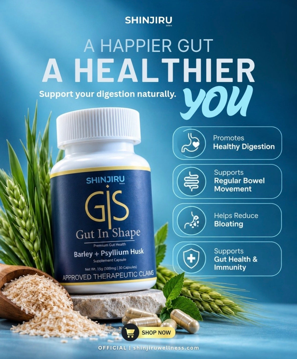 Shinjiru GIS Gut In Shape Barley Psyllium Husk Capsules 500mg 30s Fiber Supplement Digestive Support