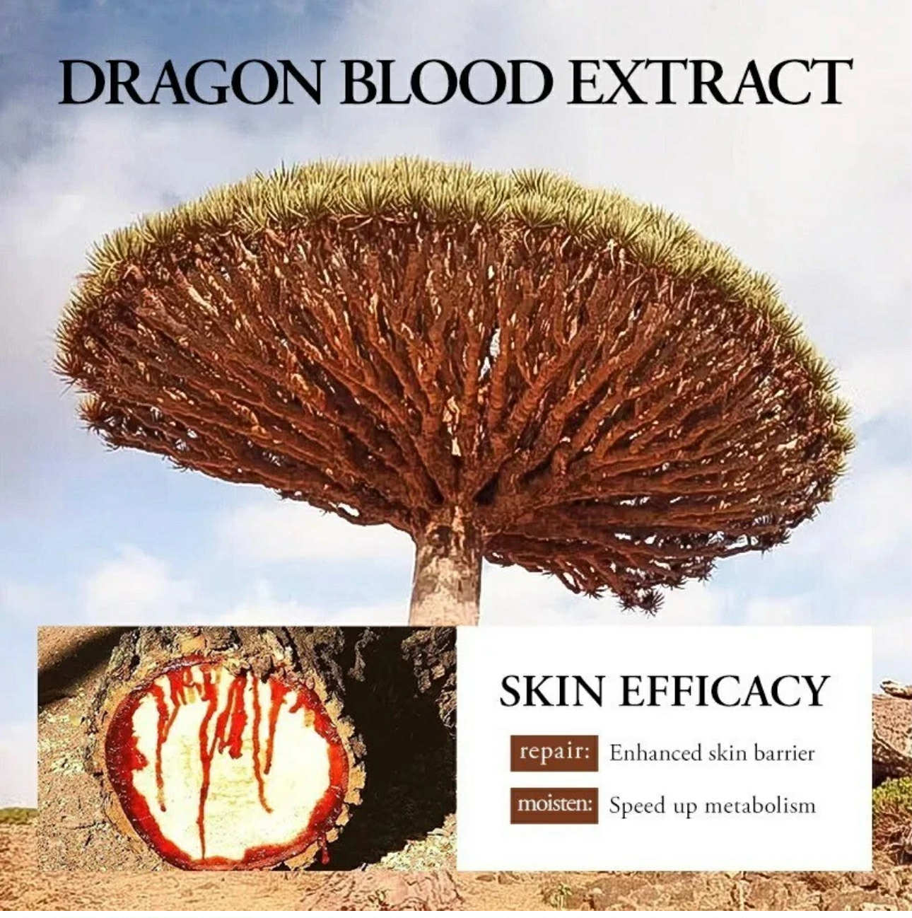 Sadoer Dragon Blood
